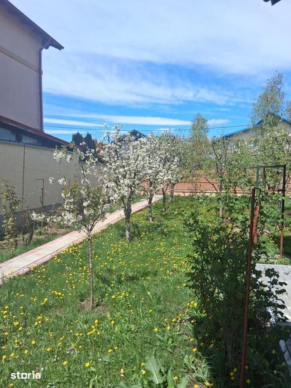 Casă cu 6 camere cu Teren 882 Mp în Bănești