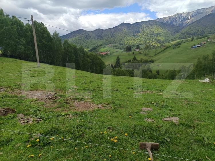 Casă individuală cu 2 camere cu Teren 4807 Mp în Peștera