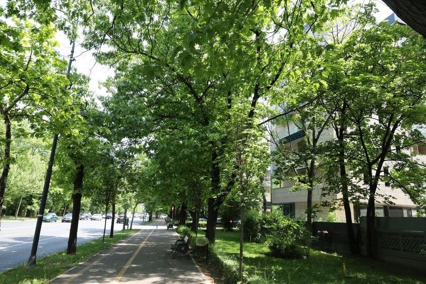 Apartament cu 3 camere în Arcul de Triumf