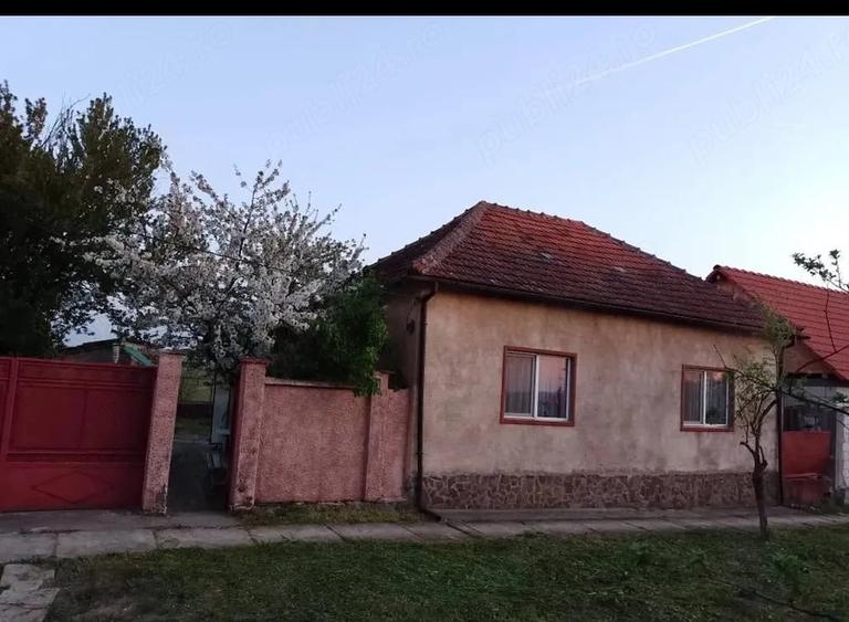 Casă cu Teren 1872 Mp în Central