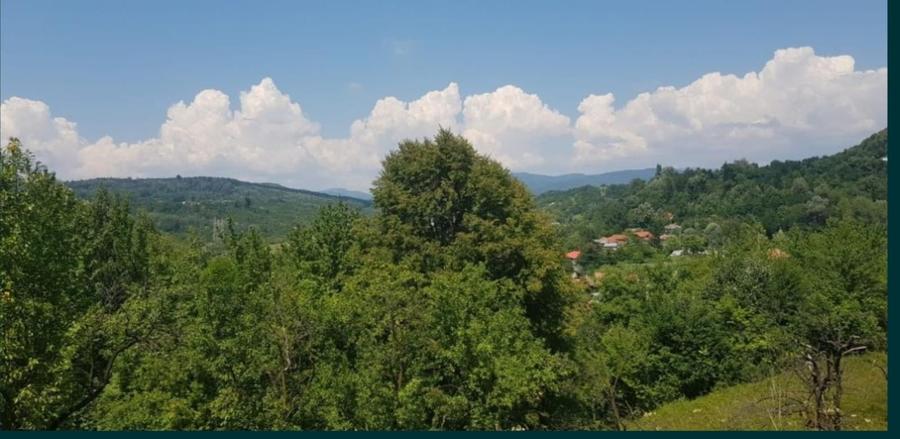 Teren Construcții intravilan de 17000 mp, în Doftana