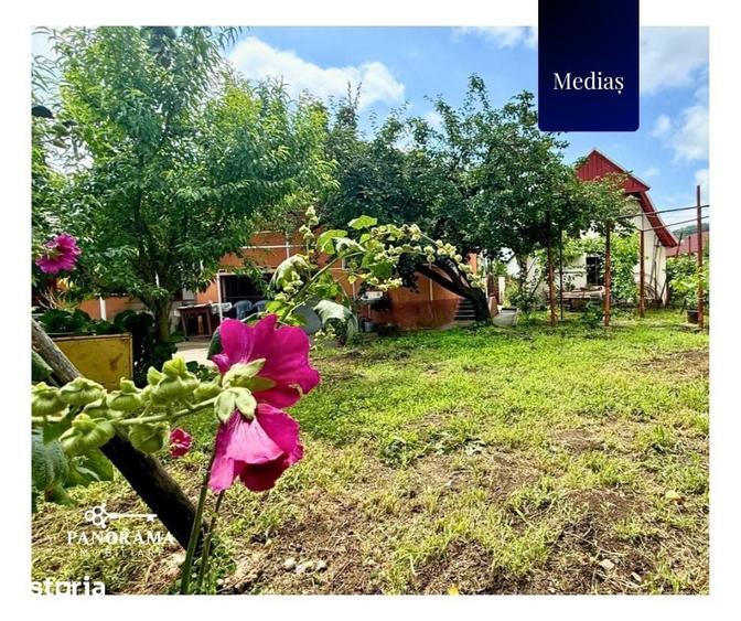 Casa pe un singur nivel, de vanzare in Media?, cartierul Mosnei - 14