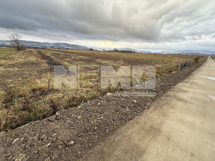 Teren agricol extravilan de 8000 mp, în Vicovu de Sus