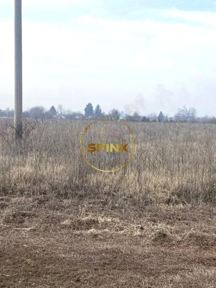 Teren agricol intravilan de 20000 mp, în Ulmi