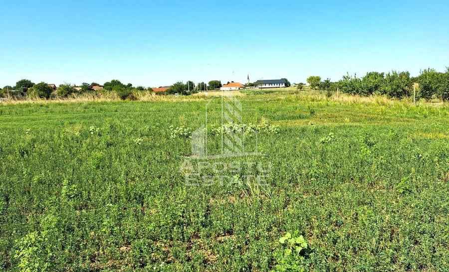 Teren Construcții intravilan de 6150 mp, în Zădăreni