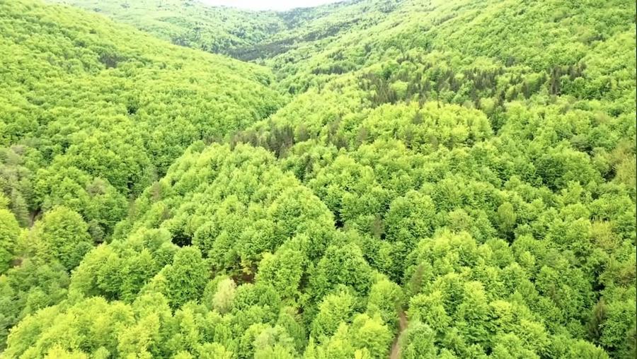 Teren de 20000 mp, în Central
