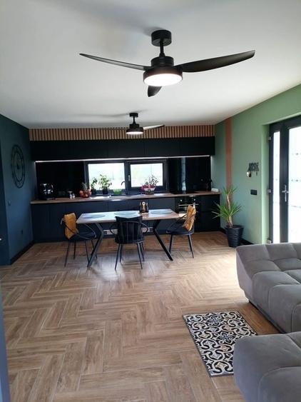 de vanzare casa parter viile satu mare - 6
