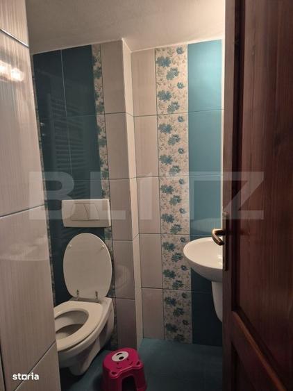 Casa de vanzare in Corunca, ideala pentru 2 familii sau pensiune - 16