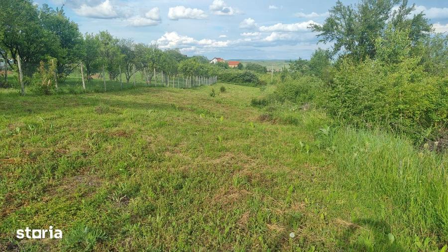Teren de 1000 mp, în Roșia