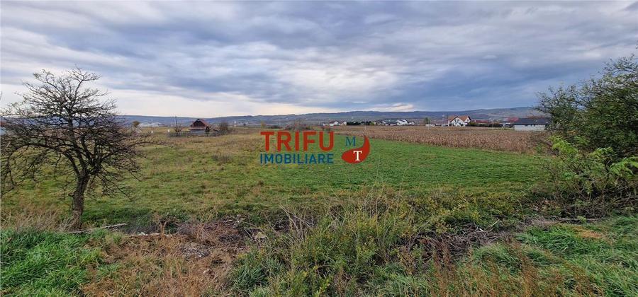 Teren Construcții intravilan de 2160 mp, în Partoș