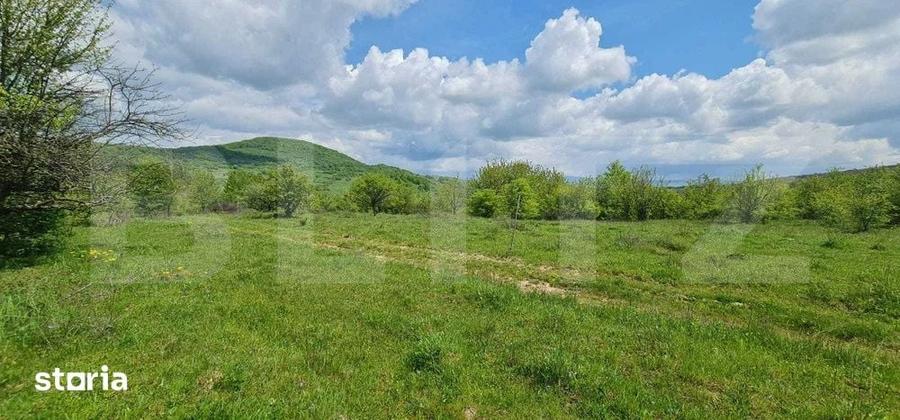 Teren de 1500 mp, în Central