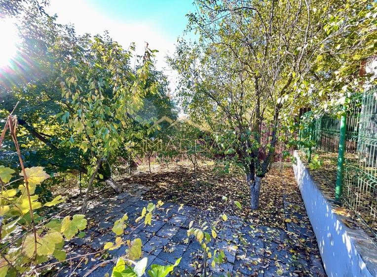 Vila 7 camere**Lake view**Ponton privat**Piscina**Teren 933 MP//Balotesti - 50