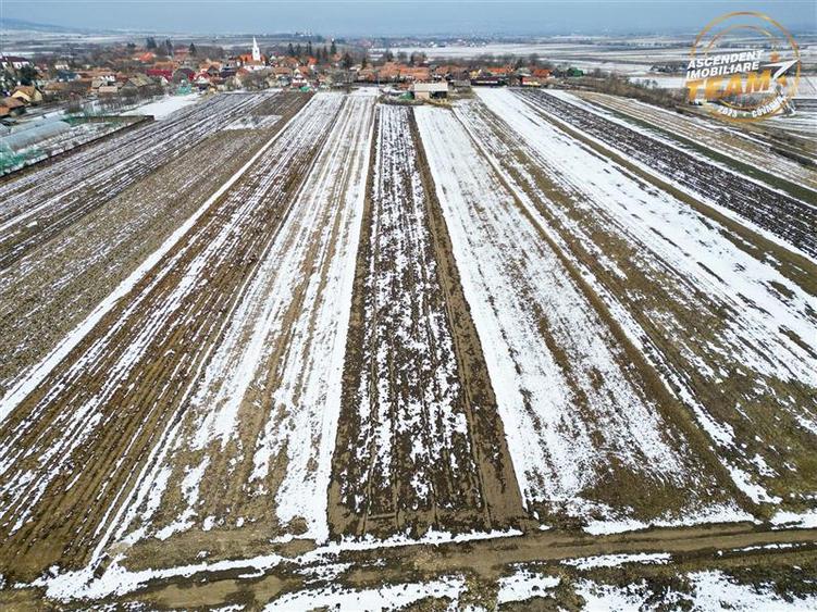 Lot construibil 6.425 mp,Dobolii de Jos, oportun:proiecte rezidentiale amplasame - 9