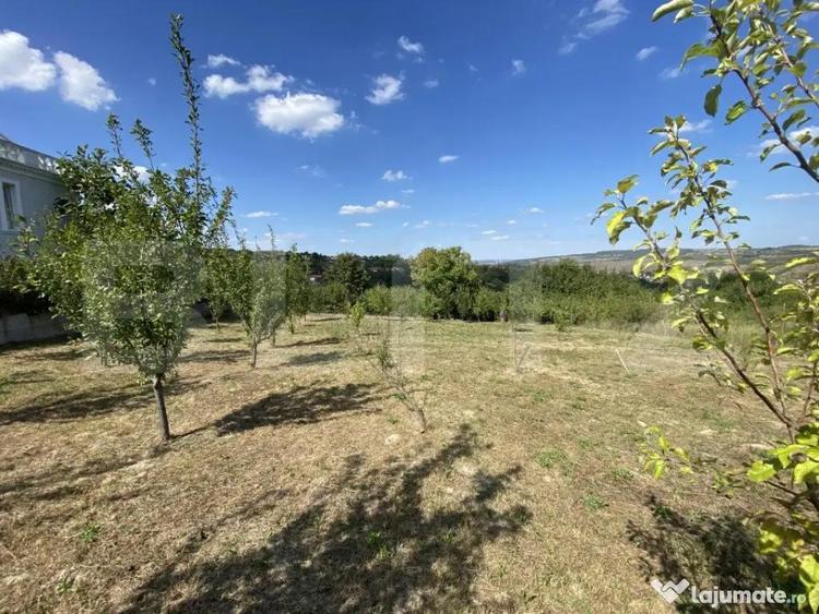 Teren intravilan in Aghires in suprafata de 1500 mp - 6