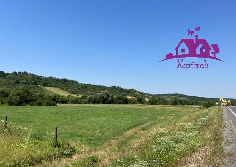 Teren intravilan Hidiselul de Sus - 6