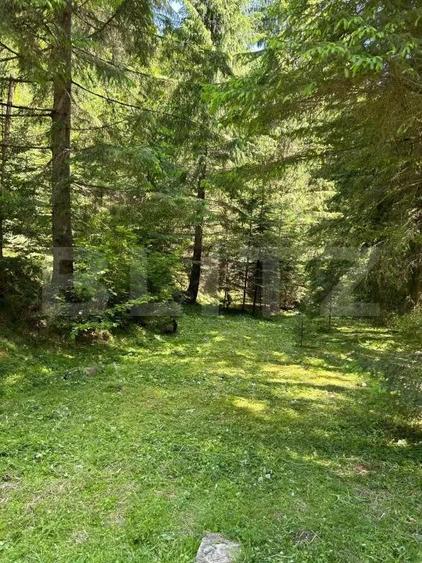 Cabana cu 4 camere, zona ?ugag - Tau Bistra - 5