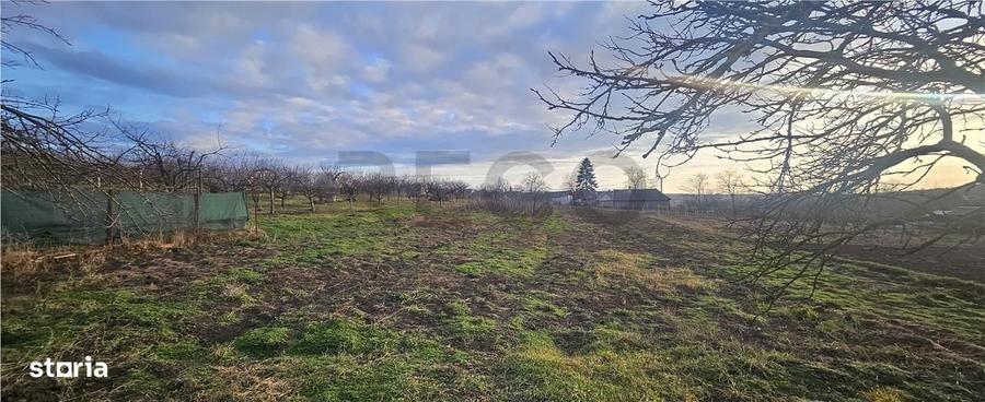 RECO. Teren intravilan de vanzare in Cetariu - 1