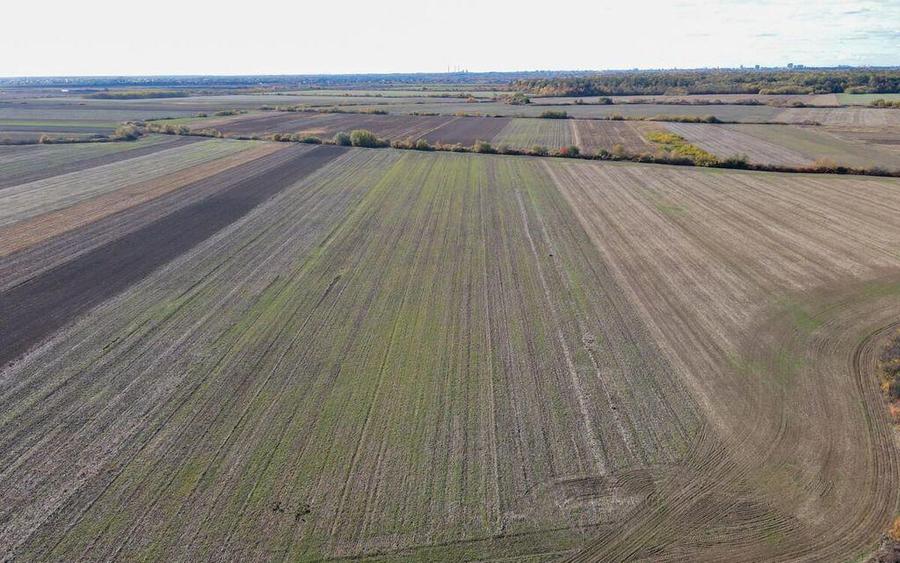 Bucovat - Lot Intravilan 2.27 Ha, PUZ inceput, Rezidentia... - 1