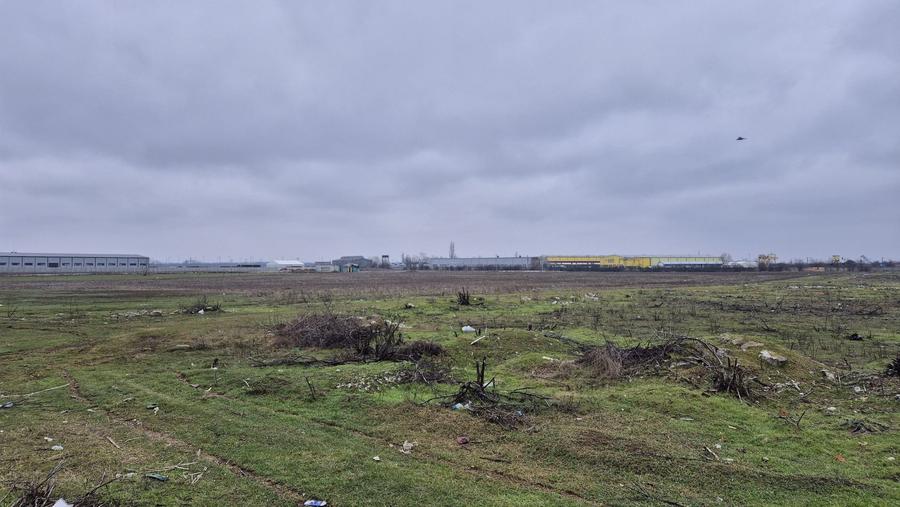 Teren intravilan 31497 mp - Chitila zona industriala de hale - 1