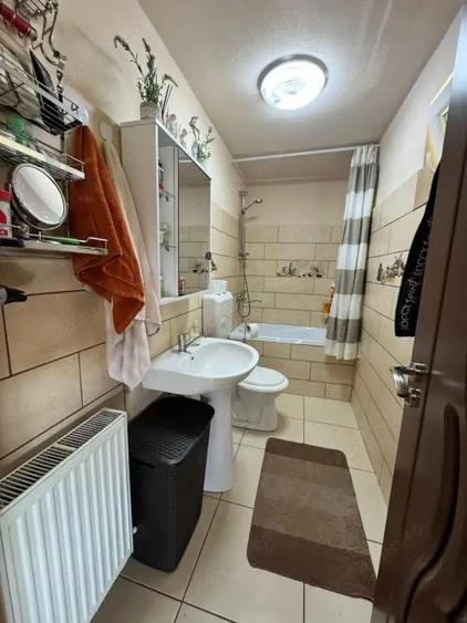 CASA INDIVIDUALA CU TEREN GENEROS zona lini?tita, la 25 km de Baia Mare - 9