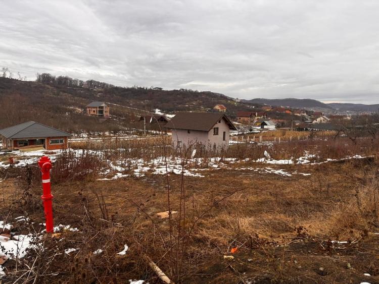 Teren Intravilan 550mp Valea Rusului - 3