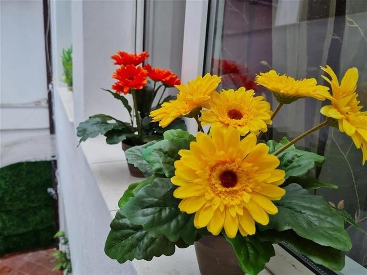 Proprietate cu terase, in ambientul Centrului Istoric .- . Piata Sfatului, Braso - 2