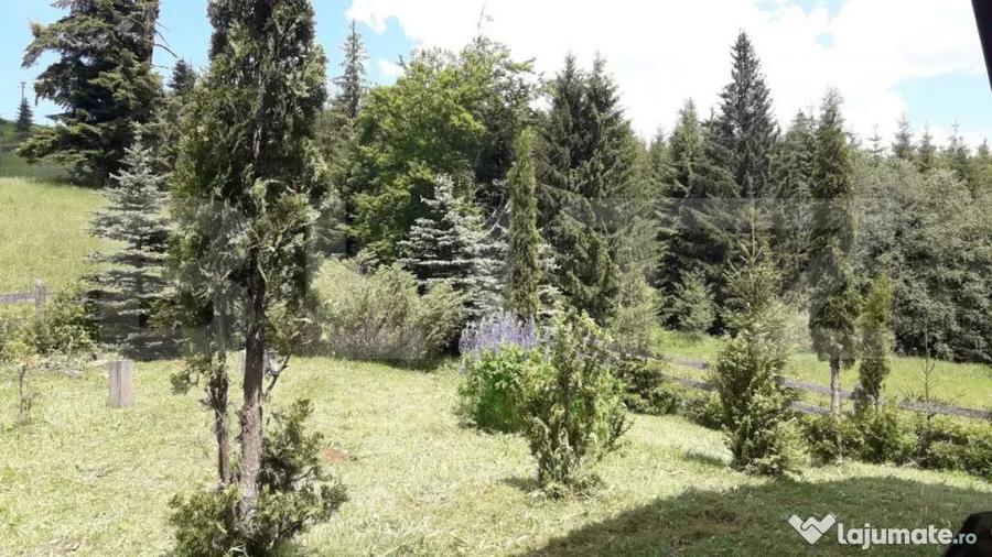 Casa de vacan?a in Piatra Fantanele + 4,5 arii teren - 1