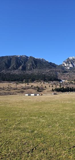 Teren intravilan - 5