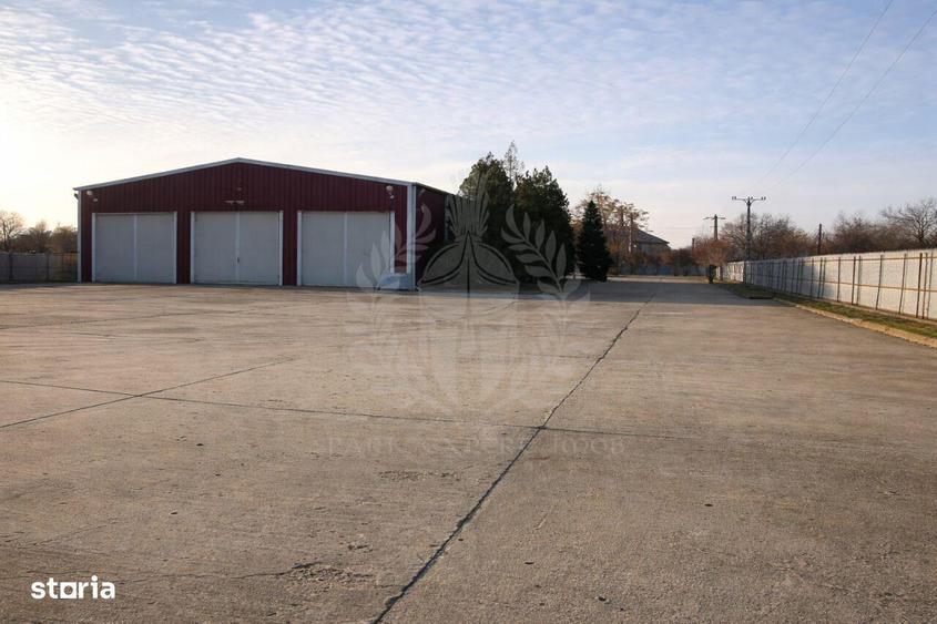 Inchiriere Hala Industriala 450 mp, Bucov - 4,5 euro/mp - 6