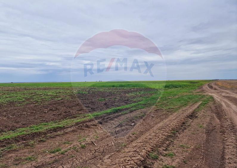 Teren 56,700mp Mischii / Strada Eroilor - 14