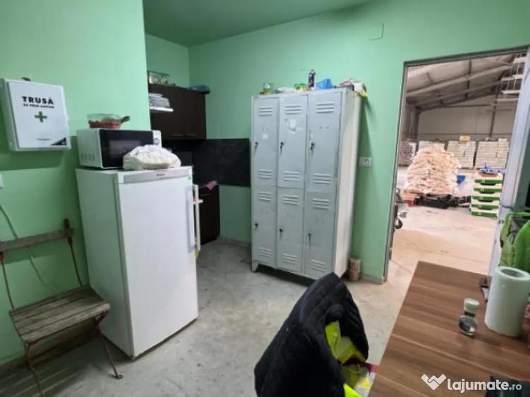 Spatiu comercial 280 mp + 700 mp curte, Filiasi - 9