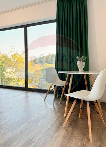 Vanzare Vila la munte - 42