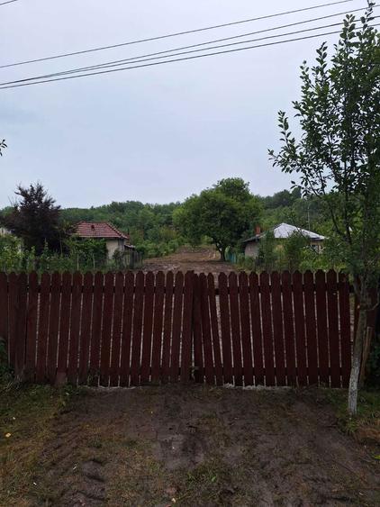 Teren intravilan 2.500 m.p. - Comuna Gornet - Crico , Jud Prahova - 6