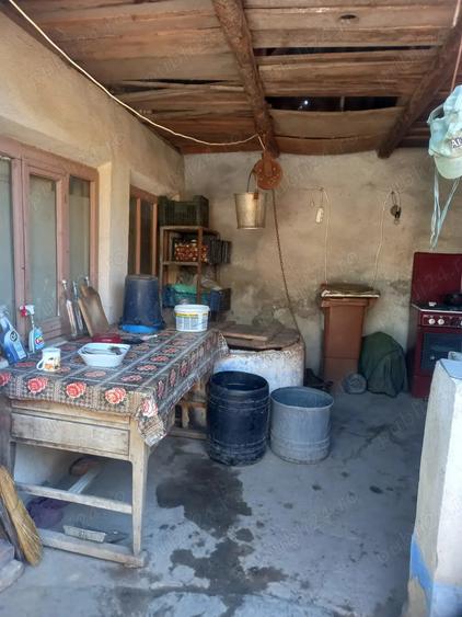 Vand casa Ramnicelu Braila 3000 mp - 6