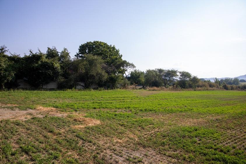 2 Parcele 865mp/855mp - intravilan cu utilitati Tohanu nou DN73 - 3