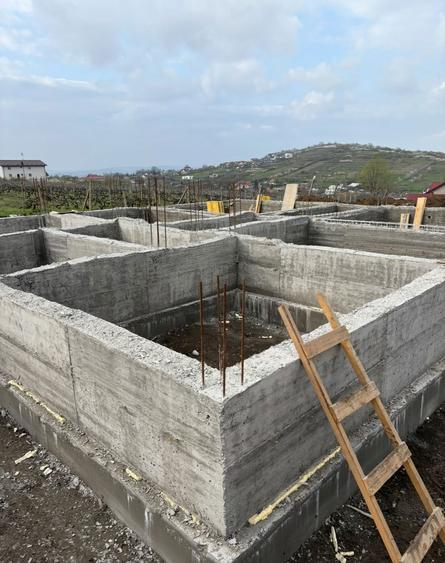 Casa de vanzare Tomesti - 6