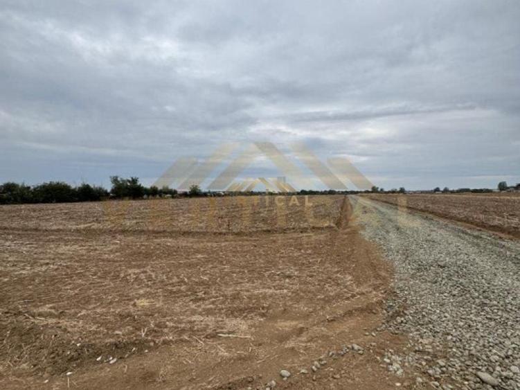 Teren Intravilan 500 mp, Vidra, ideal investitie - 5