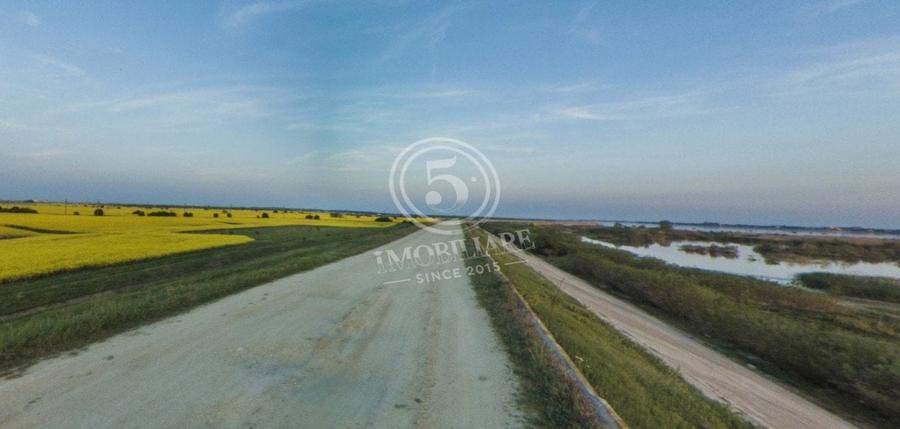 Teren intravilan, Cornetu, Ilfov – 4.400 mp - 6