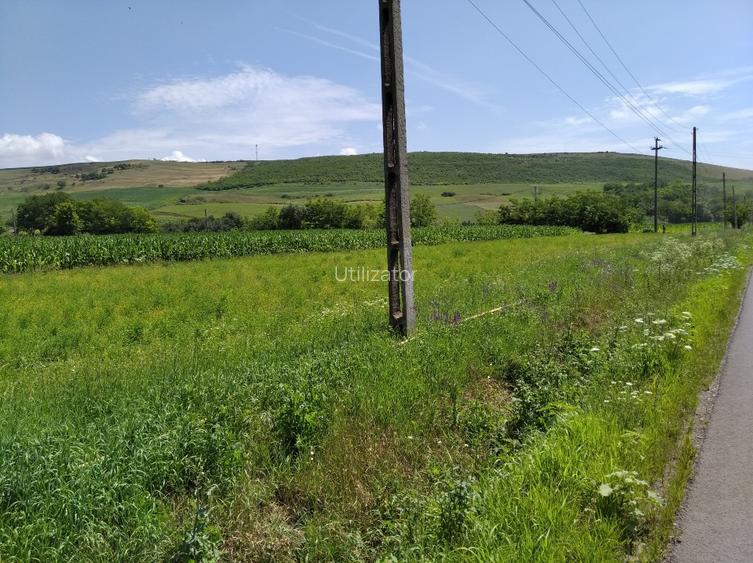 TEREN INTRAVILAN EXCEPTIONAL 6.600 MP LA MARGINEA SOSELEI ASFALTATE - IEFTIN !