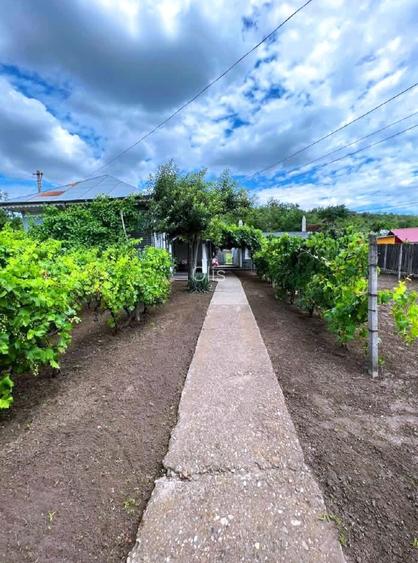 Casă de vânzare  cu teren, TECUCI!!