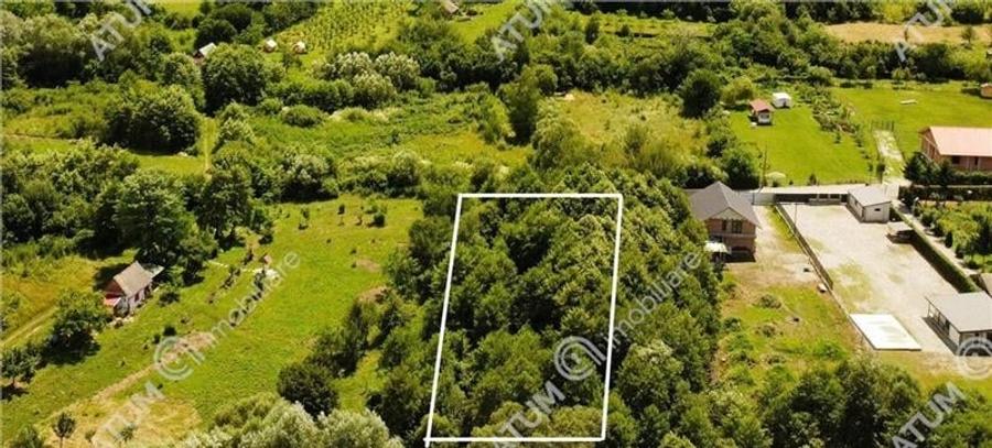 Teren de vanzare pe Valea Avrigului Sibiu - 4