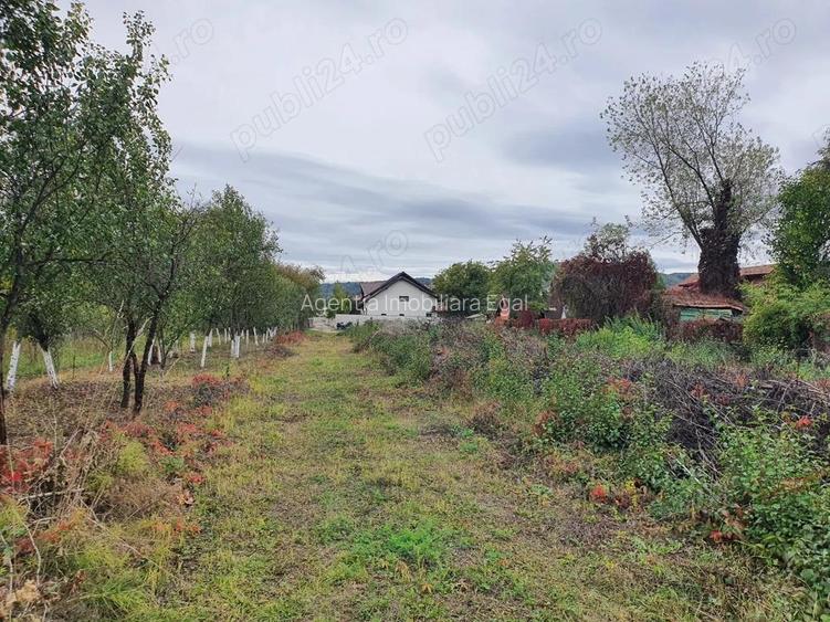 Teren intravilan, Goranu-Lespezi Teren intravilan, Goranu-Lespezi