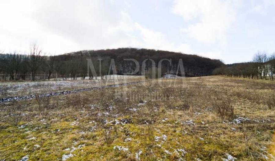 Teren extravilan pentru constructii de vanzare in Popesti - 1