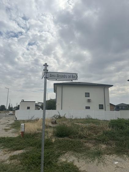 De vanzare - Teren intravilan 484 MP, utilitati complete Alexandria - 5