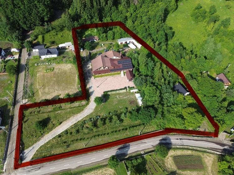 Cabana Montana- Pensiune- Sala de evenimente (Bârlogul urșilor) - 2