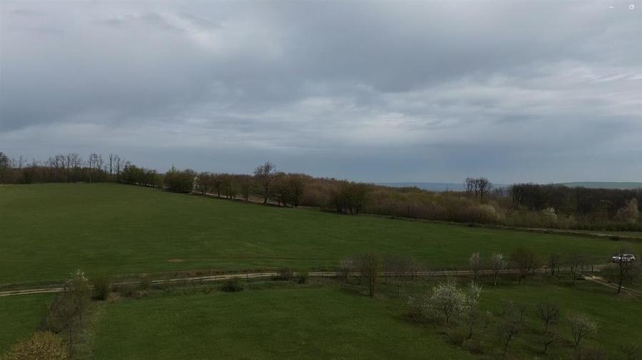 Teren intravilan 5800 mp Mitocasi - Suceava! - 8