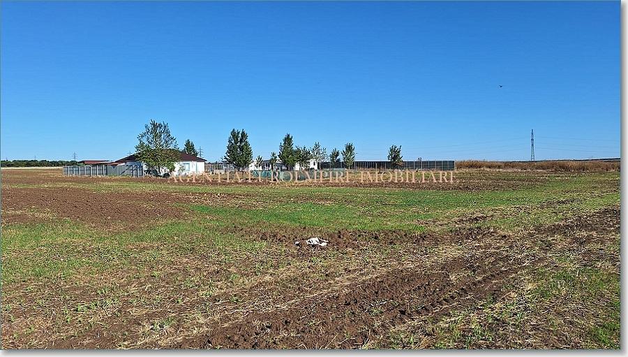 Teren de vanzare in Costinesti 400 mp - 4