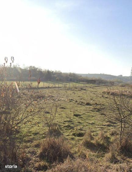 Teren cu PUZ aprobat in cartierul Borhanci - 3