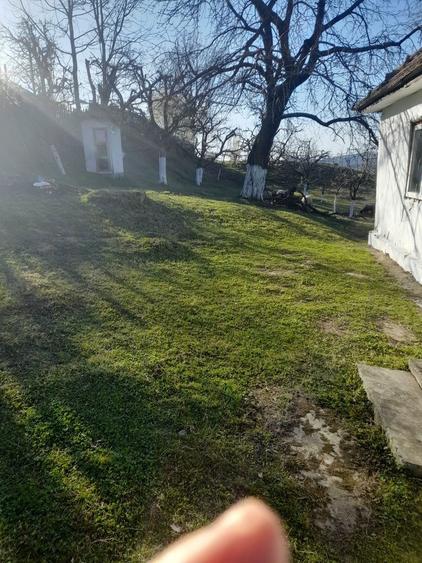 Casa batraneasca - 6