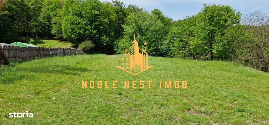 Teren extravilan 2200 mp - Budeasa Mica, Arges - 10